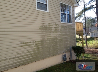 first_in_pressure_washing_residential-92