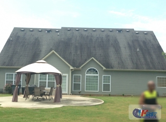 Dirty shingle roof before roof cleaning